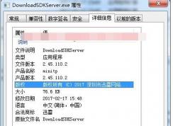 DownloadSDKServer.exeʲô,Թر