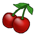 CherryTree下载_CherryTree官方中文绿色版 