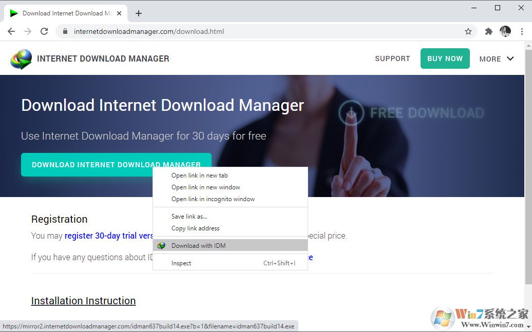 Internet Download Manager