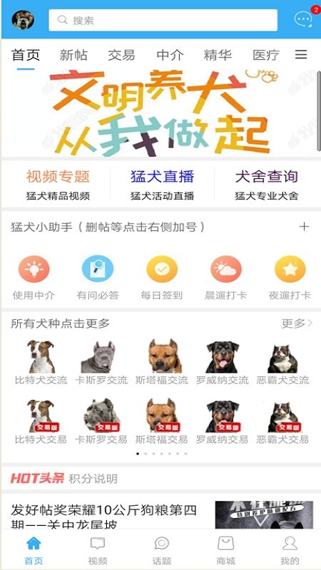 猛犬俱乐部