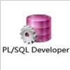 PL/SQL Developer 32/64位(附安装教程)