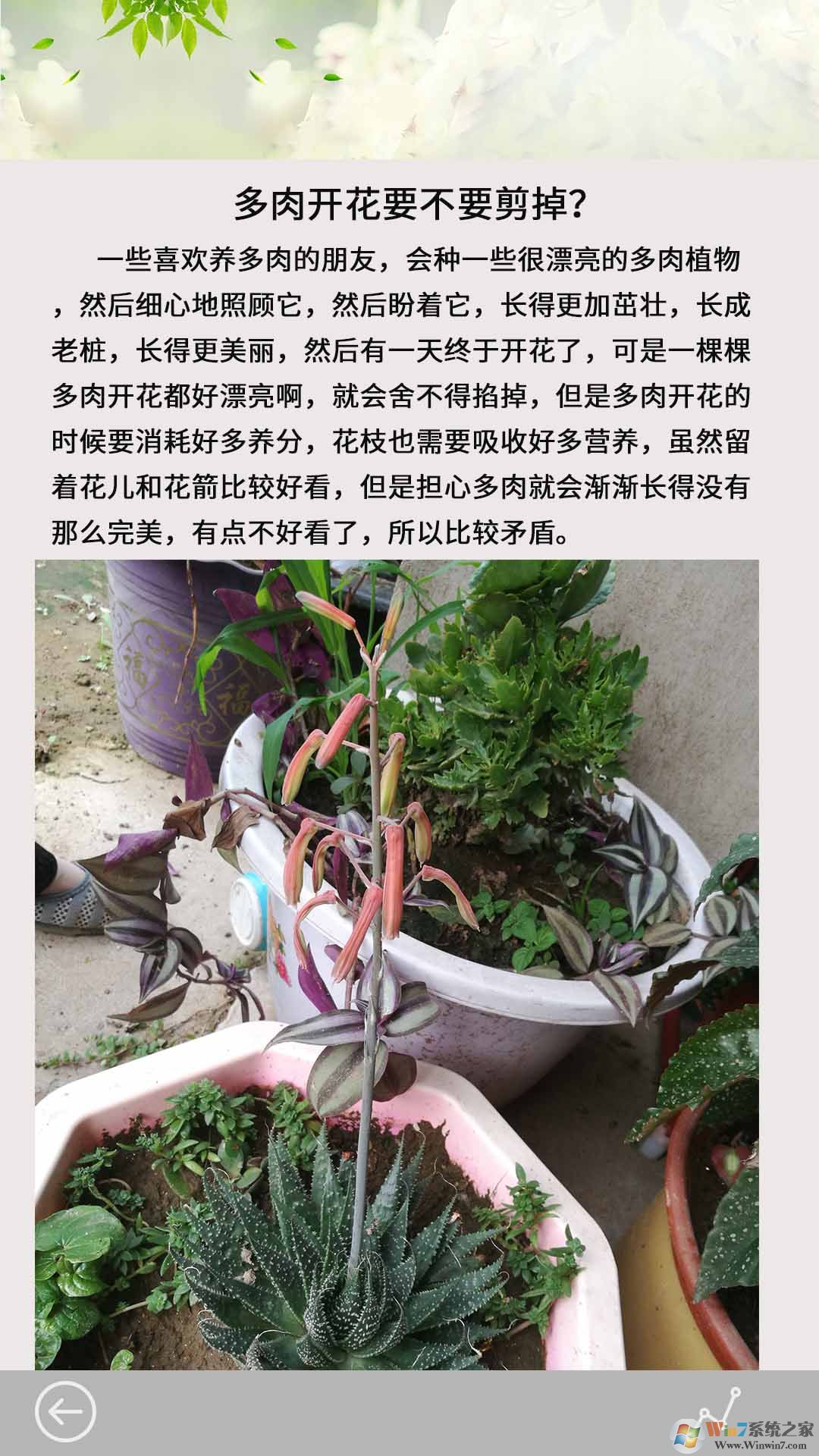 多肉花草日记APP