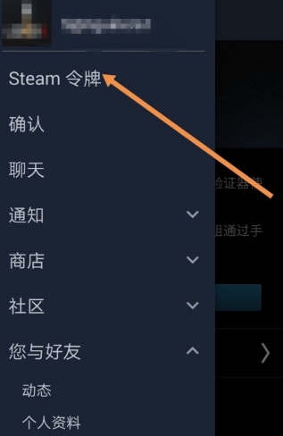 SteamPro