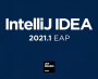 IntelliJ IDEA旗舰破解版