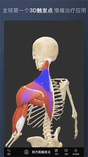 维萨里3D解剖全集