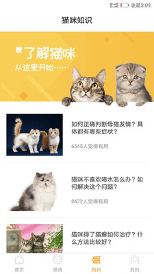 猫咪翻译器APP