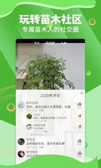 苗木通APP下载