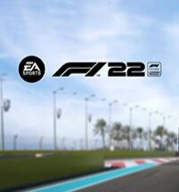 F12022޸