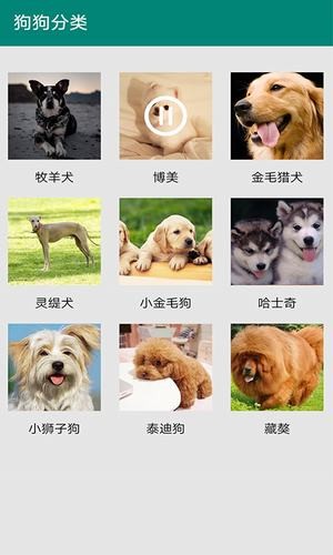 狗语翻译APP