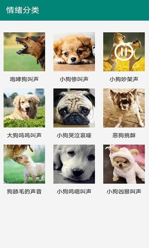 狗语翻译APP