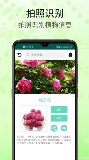 识花草APP