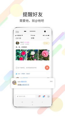 陶都网APP