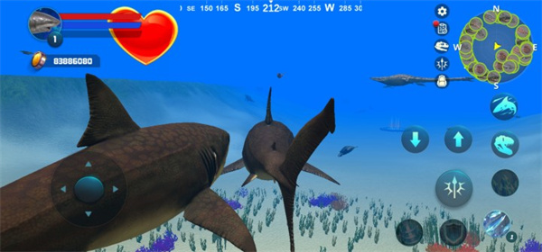 巨齿鲨模拟器破解版