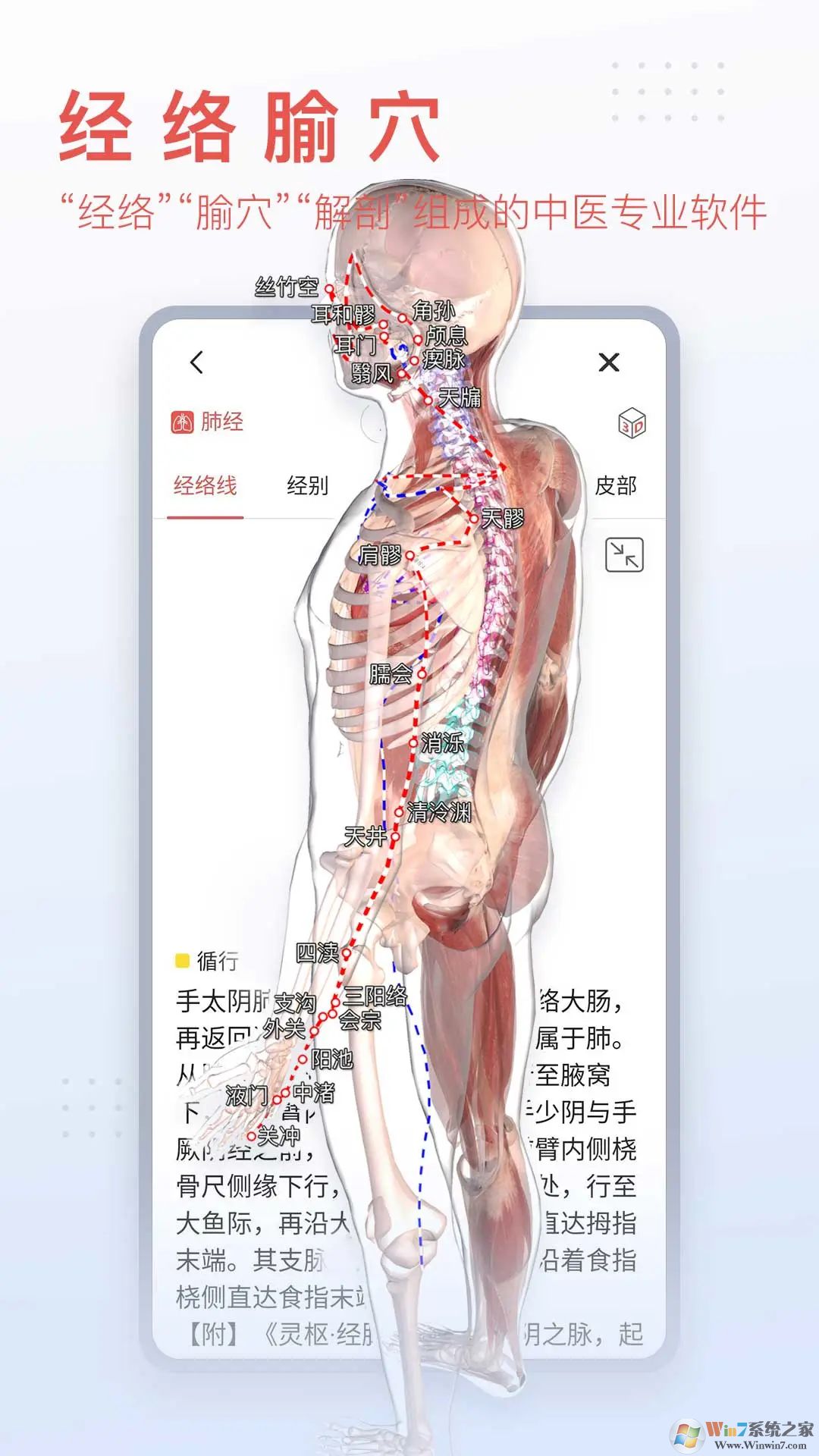 3DBody解剖