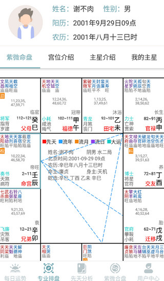 紫微斗数算命排盘