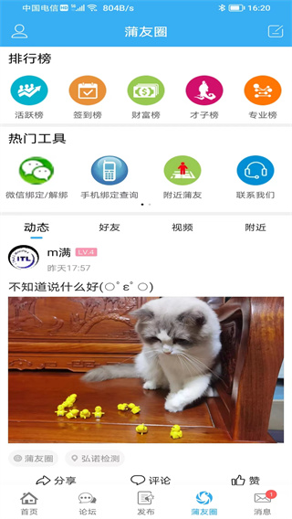 蒲公英APP