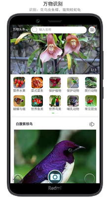 万物识别APP免费版