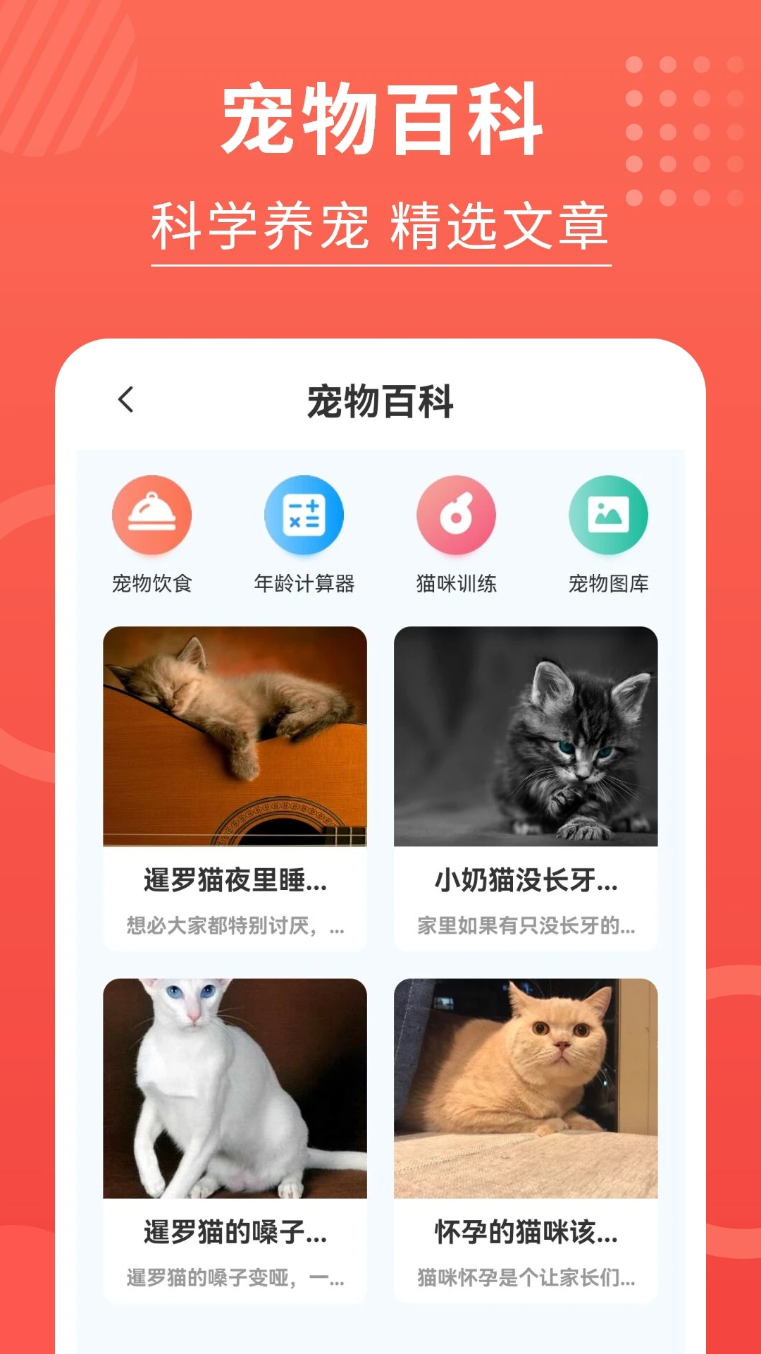 猫猫语言翻译器