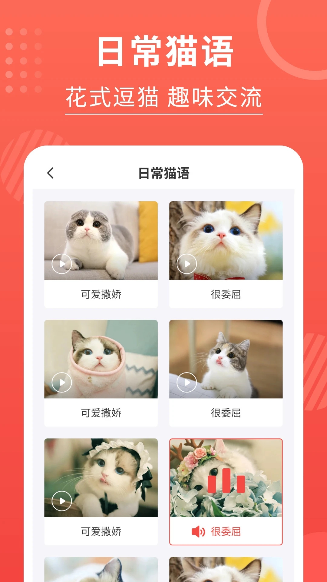 猫猫语言翻译器