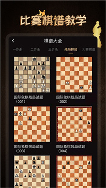 国际象棋大师(附教学玩法)