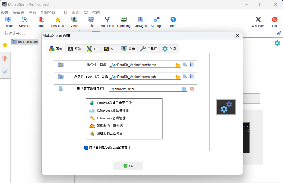 MobaXterm官方正式版远程桌面管理软件