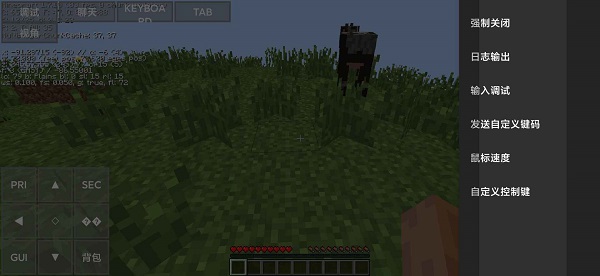 Minecraft Java