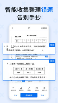 蜜蜂试卷2024最新版