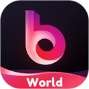 Bei WorldAPP专业版