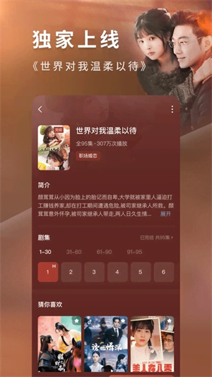 软件特色截图