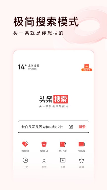 头条搜索APP标准版