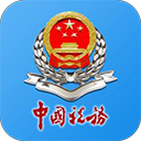 河南省电子税务局app