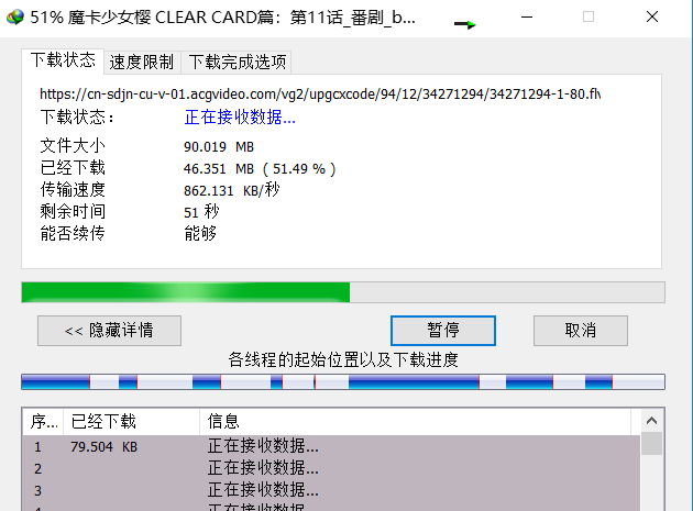 Internet Download Manager简体中文版