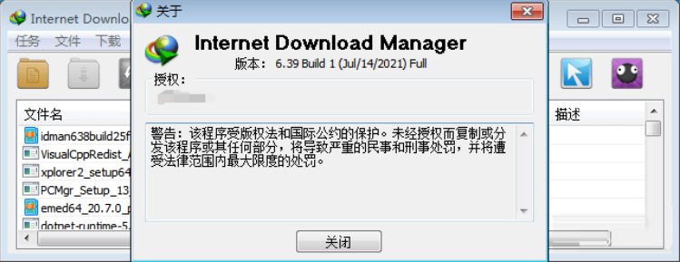 Internet Download Manager简体中文版