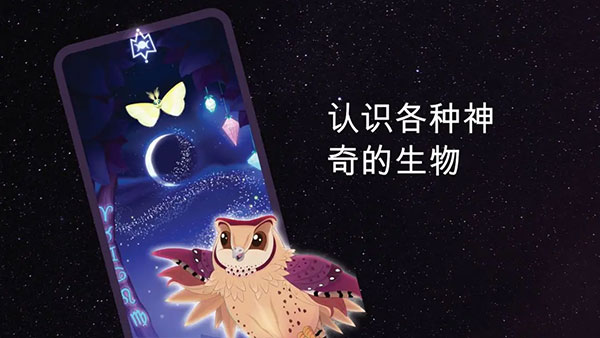 彩翼之星夜无限荧光币