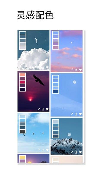 观色配色专业版