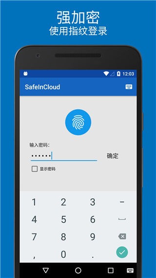 SafeInCloud升级版