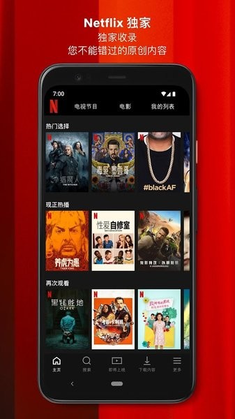 Netflix专业版