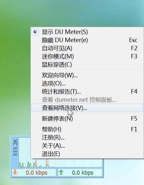 DU Meter网络流量监视器纯净版