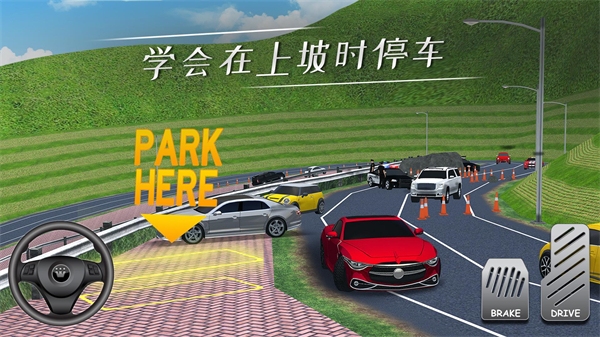 停车专家(ParkingProfessor)