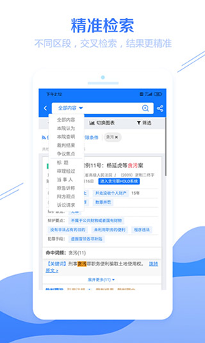 聚法案例免费版app