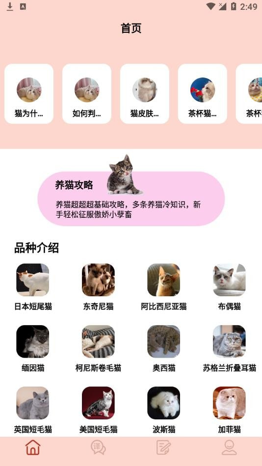 摸摸小猫最新版