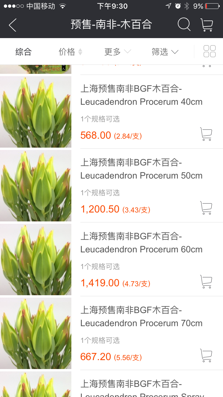 匠人花材正版app