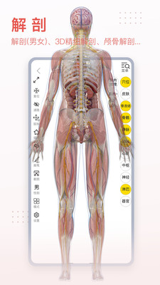 3Dbody解剖标准版