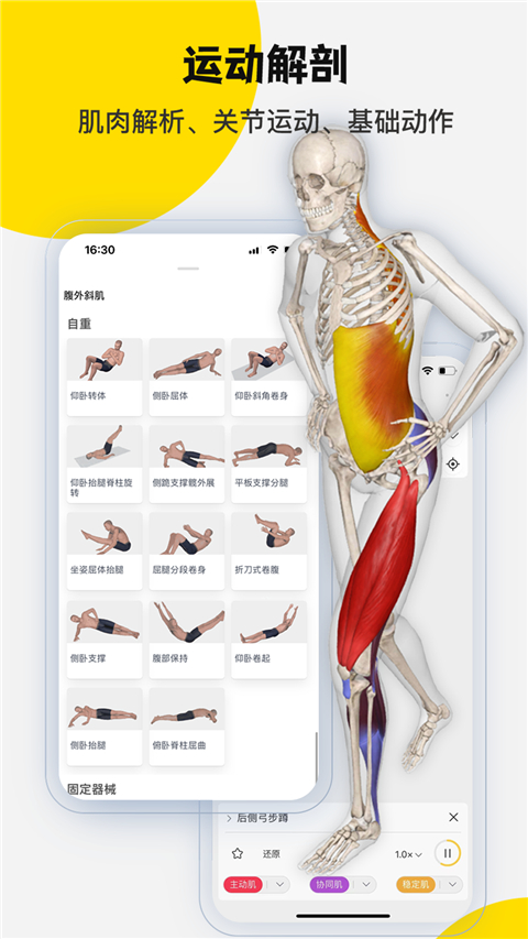 3Dbody解剖标准版