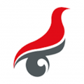 学信网标准版 v2.5.3安卓版