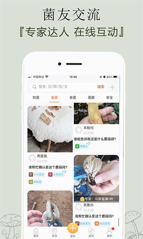 菌窝子最新版