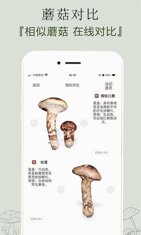 菌窝子最新版