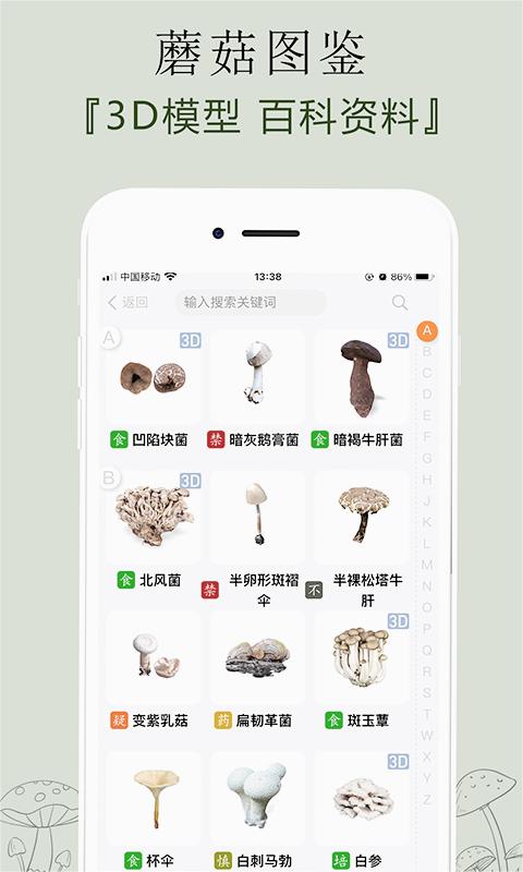 菌窝子最新版