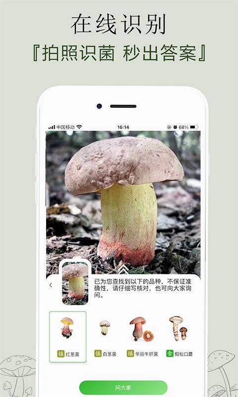 菌窝子最新版