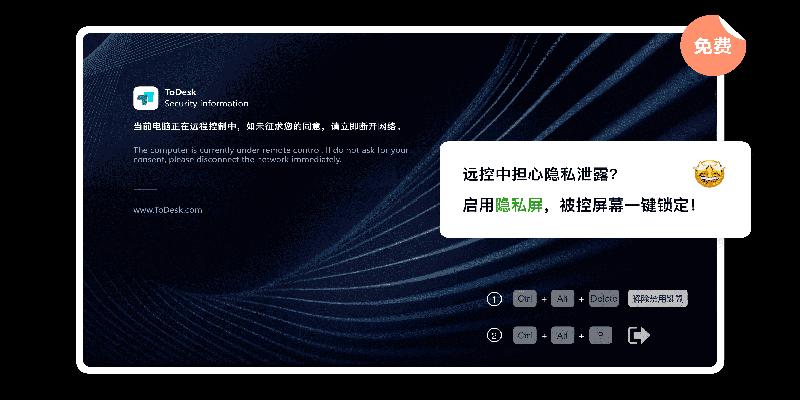 ToDesk标准版